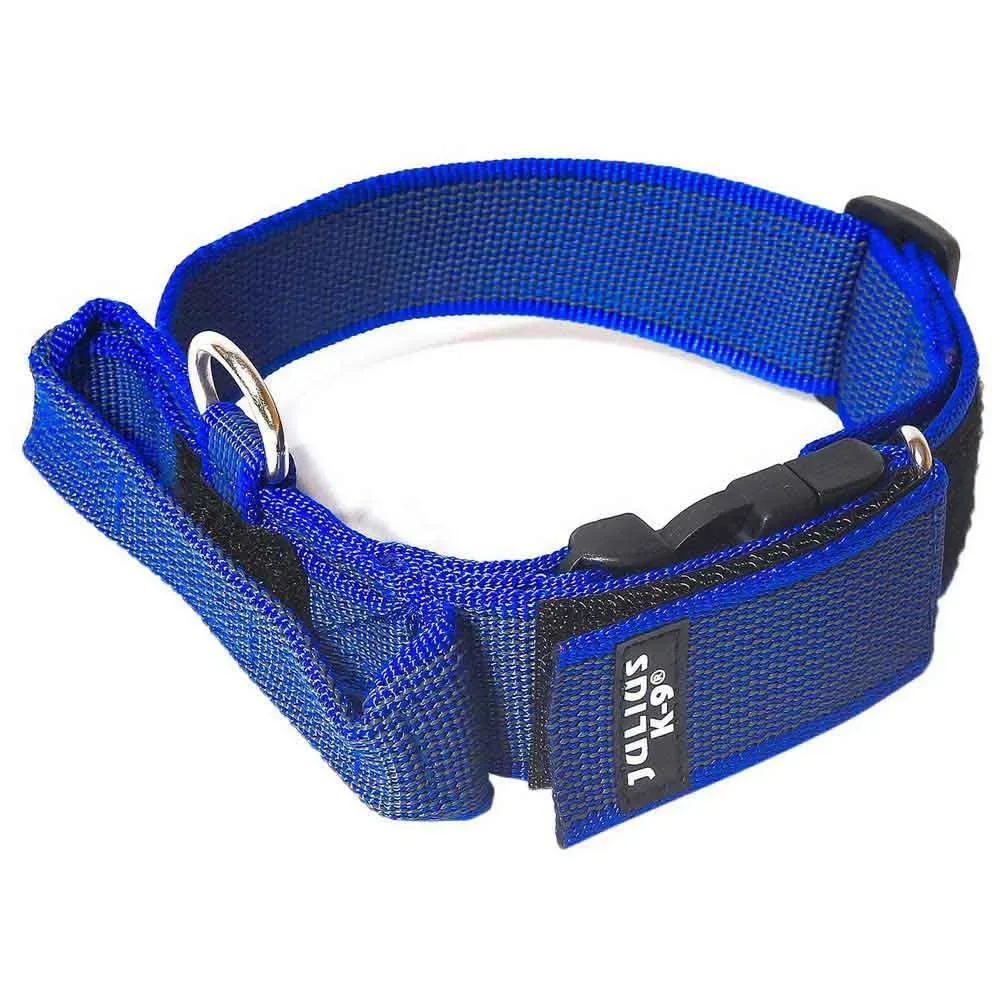 Collar 50 Mm Hondenhalsband de Julius-K9 – photo produit