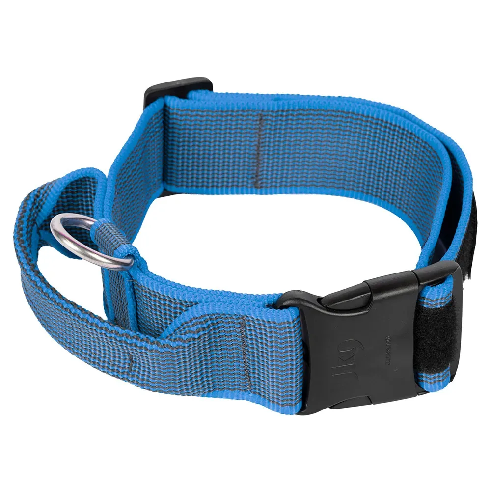 Collar 50 Mm Hondenhalsband fra Julius-K9 – produktbillede