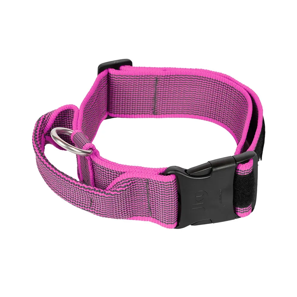 Collar 50 Mm Hondenhalsband från Julius-K9 – produktbild
