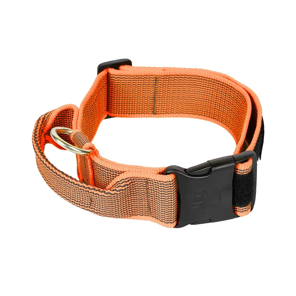 Collar 50 Mm Hondenhalsband fra Julius-K9 – produktbillede
