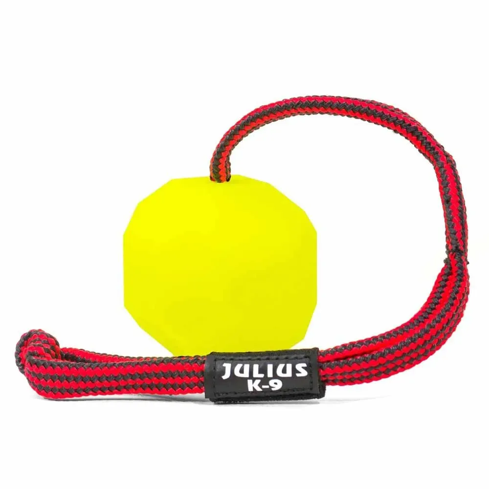 Gelbe Fluoreszierende Idc-Kugel 60 cm de Julius-K9 – photo produit