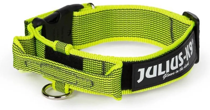 halsband 38-53 cm 40mm by Julius-K9 in Yellow – product photo
