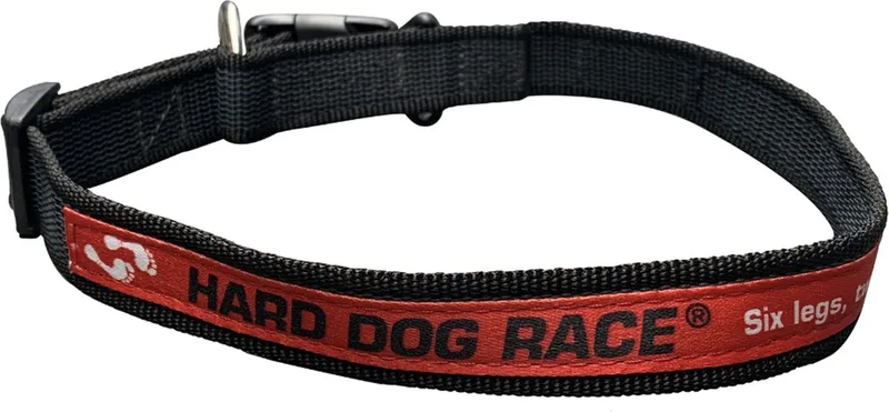 Halsband Anti Slip 39-65 Cm von Julius-K9 – Produktfoto