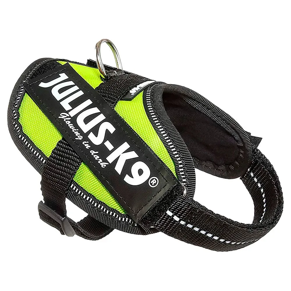 Harnais Pour Chien Idc Baby fra Julius-K9 – produktbillede