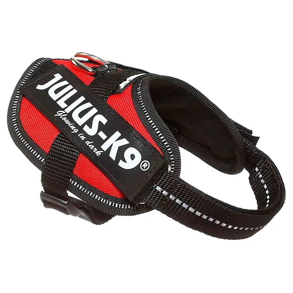 Harnais Pour Chien Idc Baby fra Julius-K9 – produktbillede
