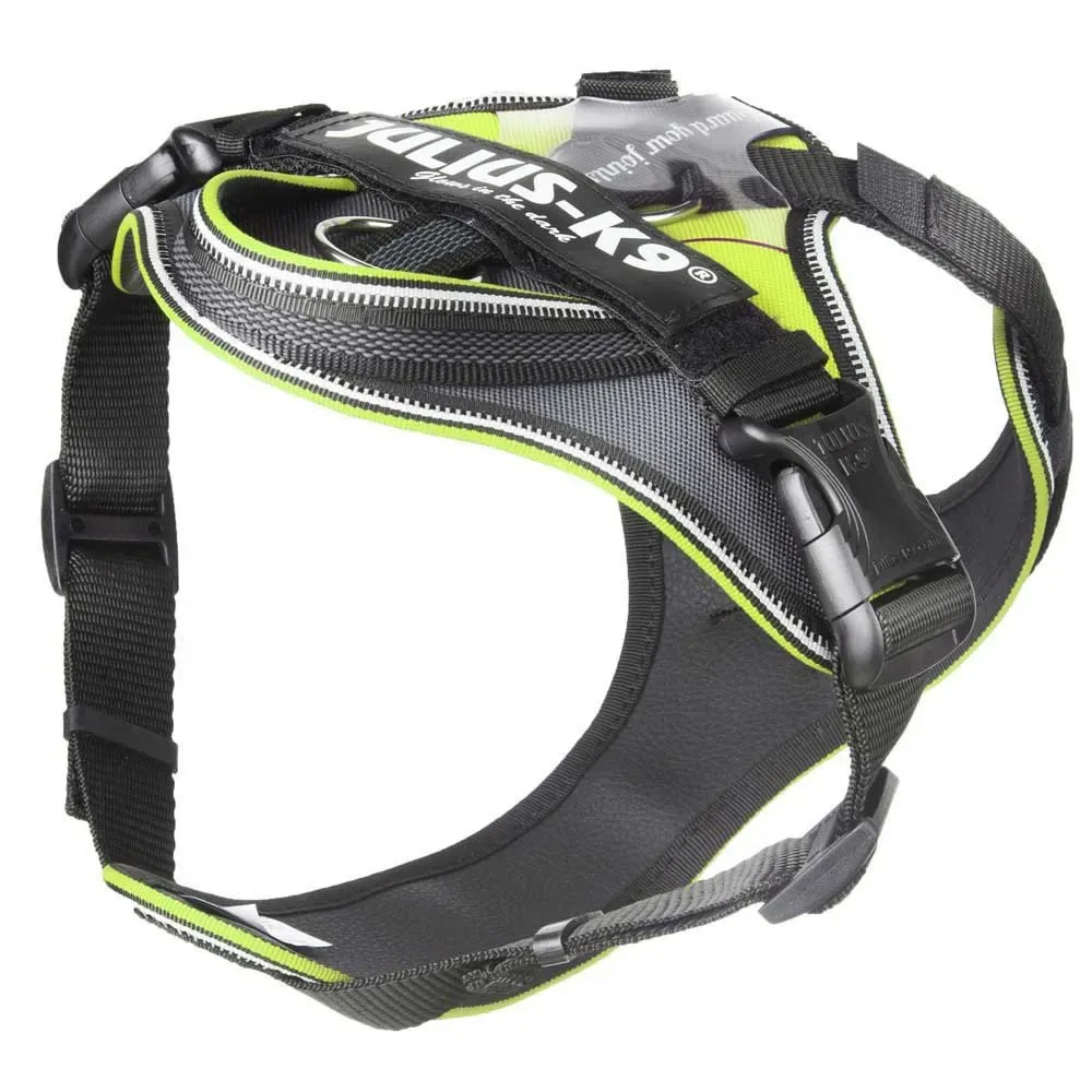 Harnais Pour Chien Idc® Longwalk från Julius-K9 – produktbild
