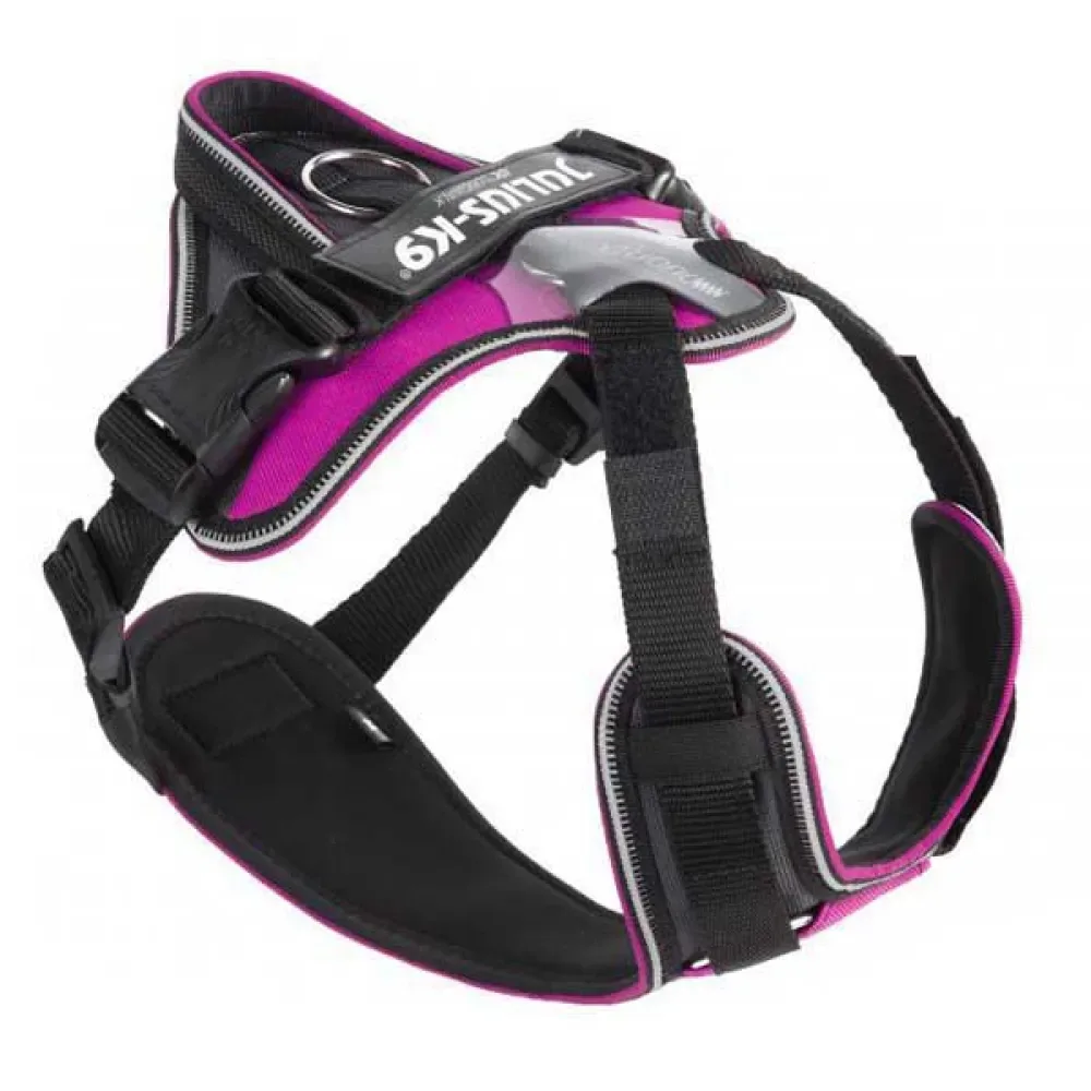 Harnais Pour Chien Idc® Longwalk fra Julius-K9 – produktbillede