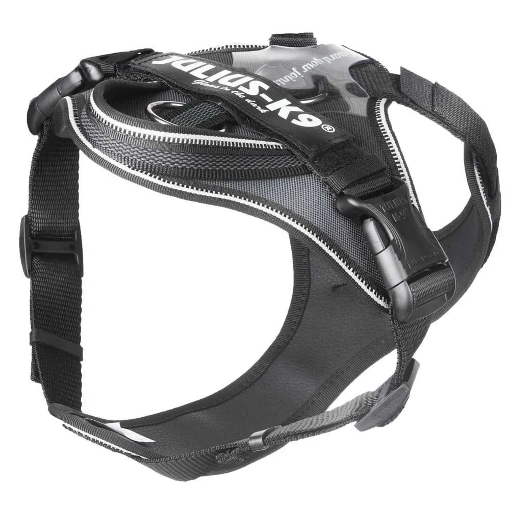 Harnais Pour Chien Idc® Longwalk från Julius-K9 – produktbild