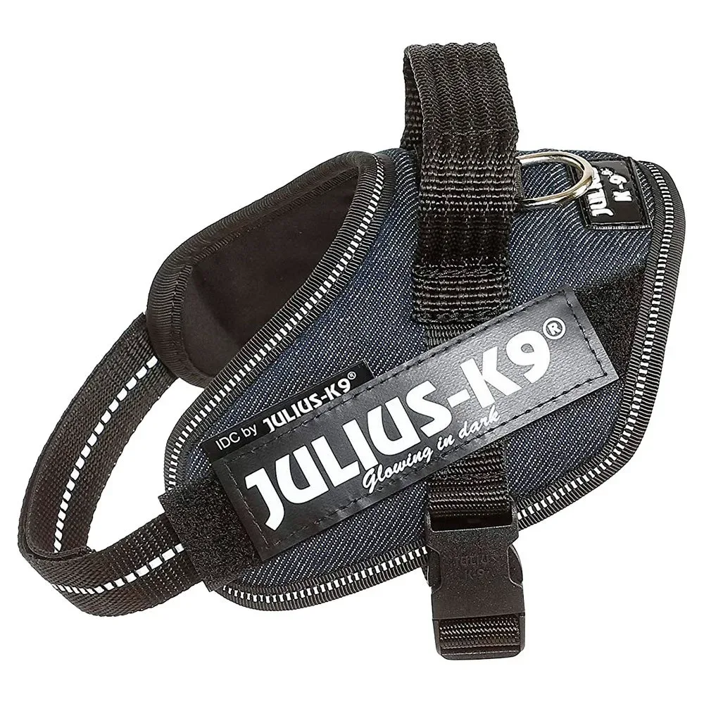 Harnais Pour Chien Idc Mini från Julius-K9 – produktbild