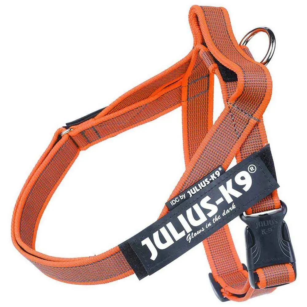 Harnais Pour Chien Idc Mini Norwegian van Julius-K9 – productfoto