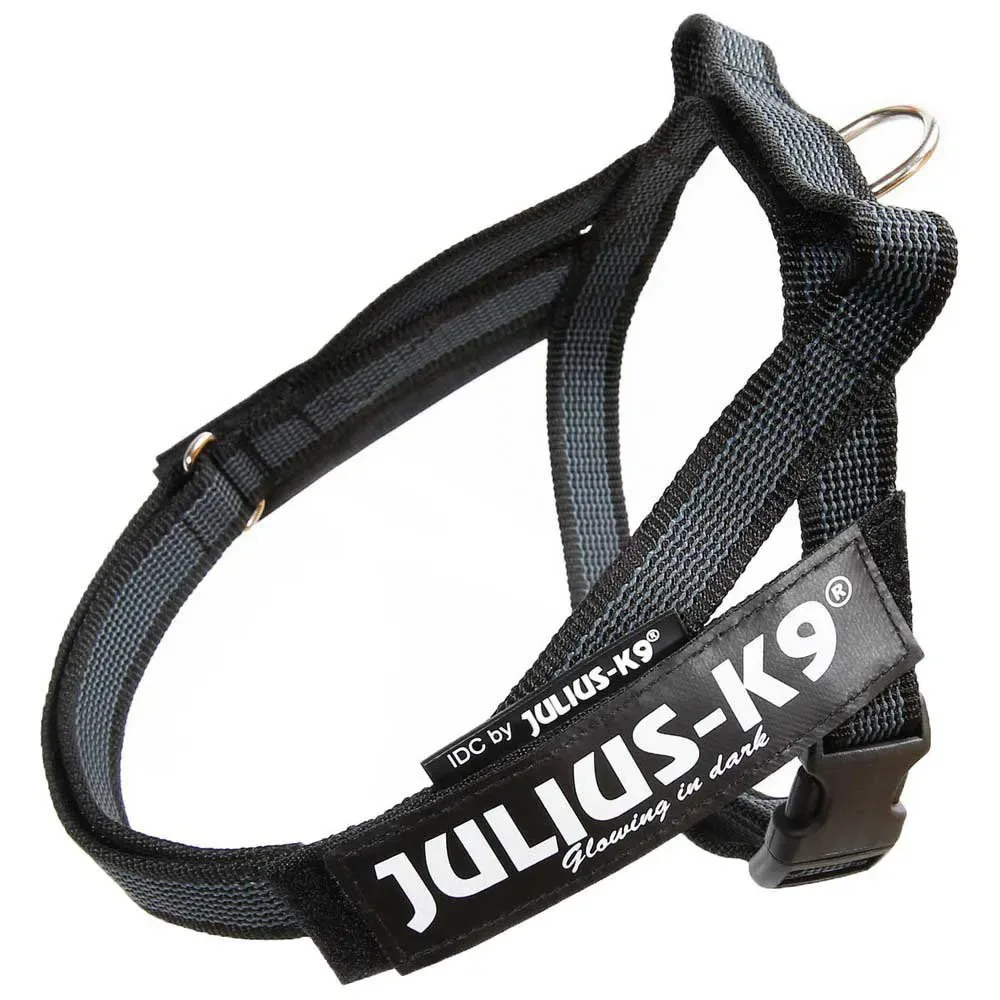 Harnais Pour Chien Idc Mini Norwegian fra Julius-K9 – produktbillede