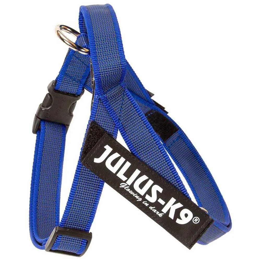 Harnais Pour Chien Idc Mini Norwegian fra Julius-K9 – produktbillede