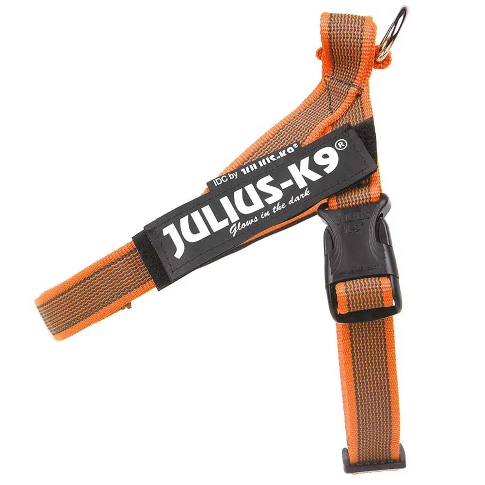Harnais Pour Chien Idc Norwegian van Julius-K9 – productfoto