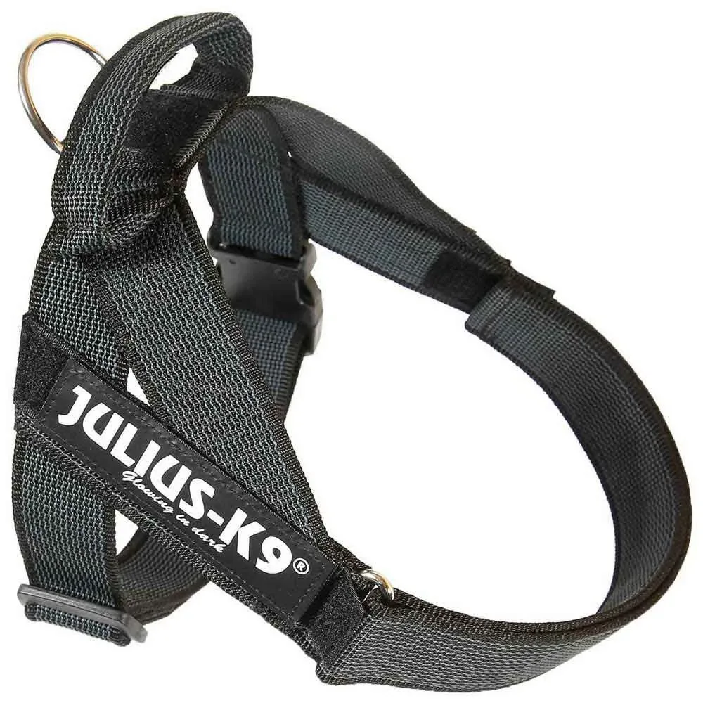Harnais Pour Chien Idc Norwegian van Julius-K9 – productfoto
