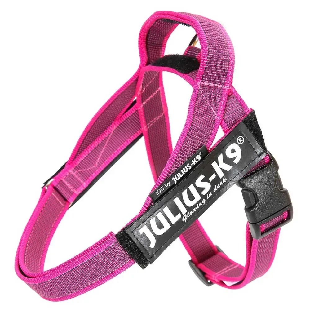Harnais Pour Chien Idc Norwegian van Julius-K9 – productfoto