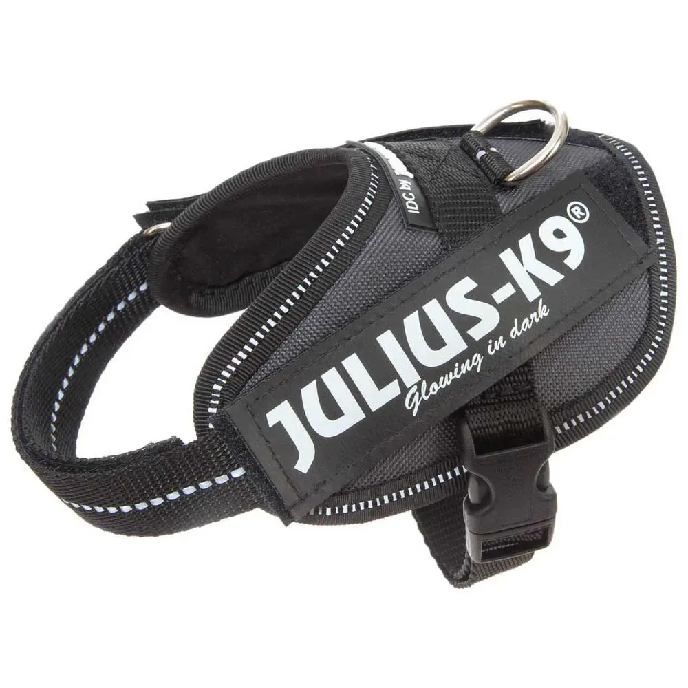 Harnais Pour Chien Idc® Power fra Julius-K9 – produktbillede