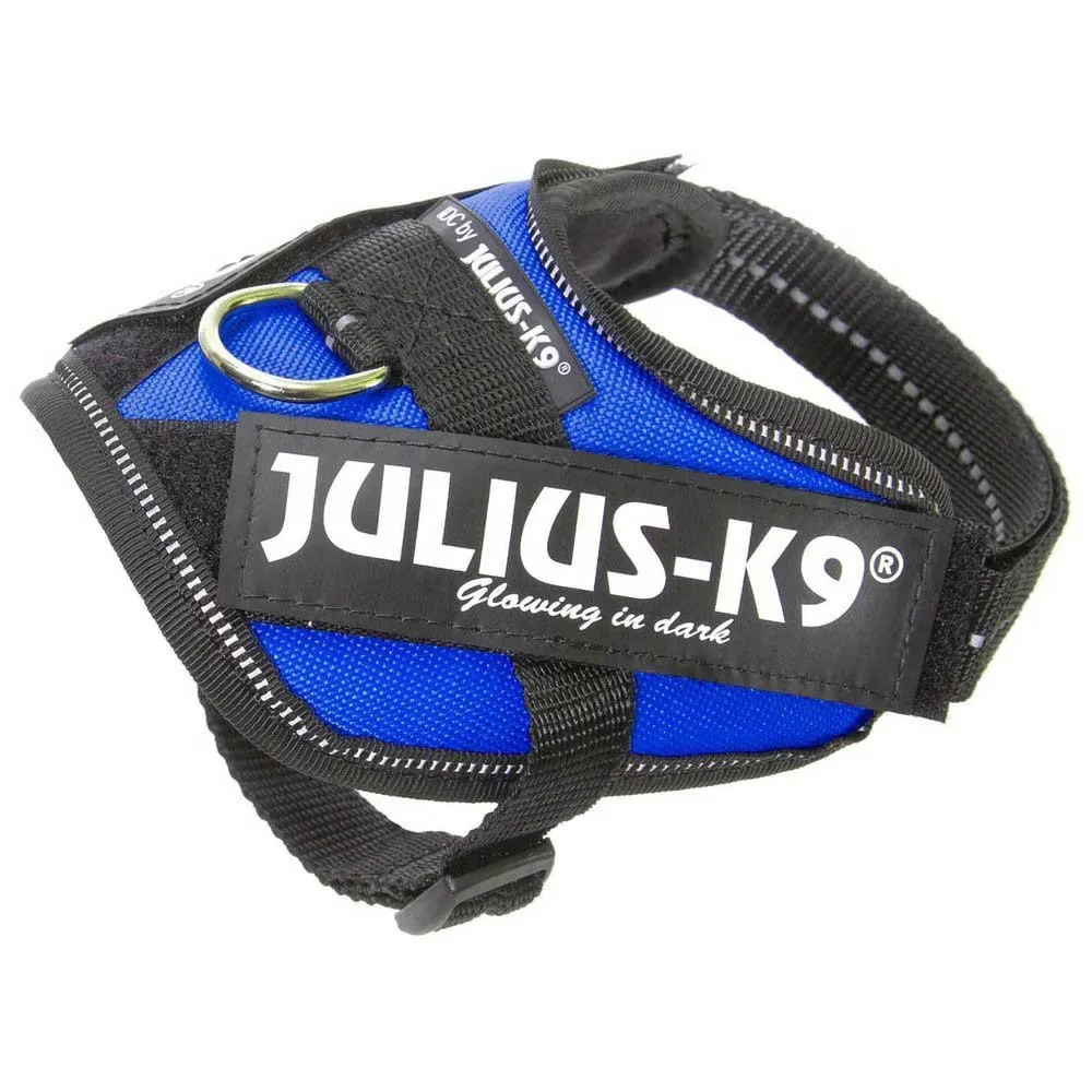 Harnais Pour Chien Idc® Power fra Julius-K9 – produktbillede