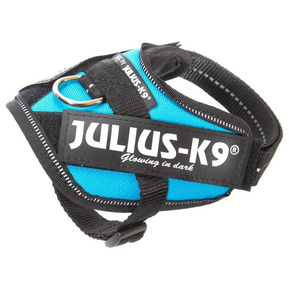 Harnais Pour Chien Idc® Power fra Julius-K9 – produktbillede