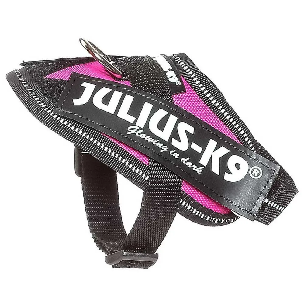 Harnais Pour Chien Idc® Power fra Julius-K9 – produktbillede