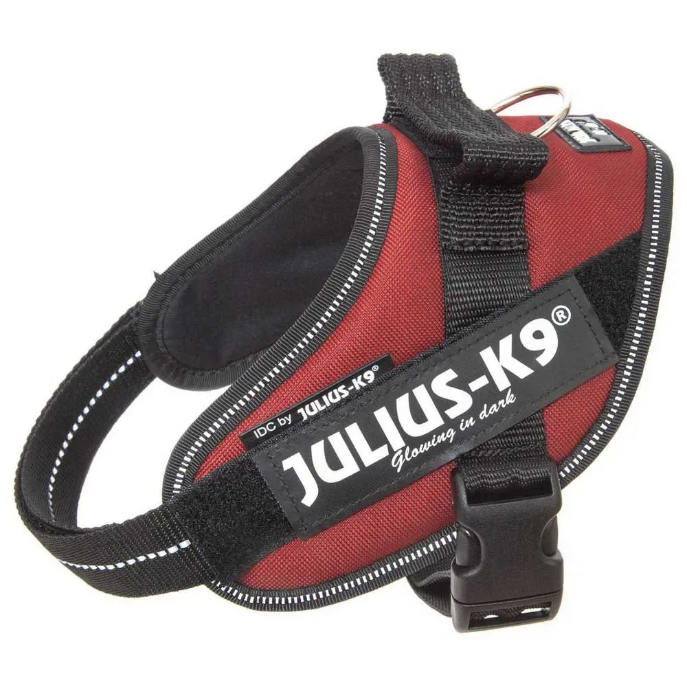 Harnais Pour Chien Idc® Power fra Julius-K9 – produktbillede