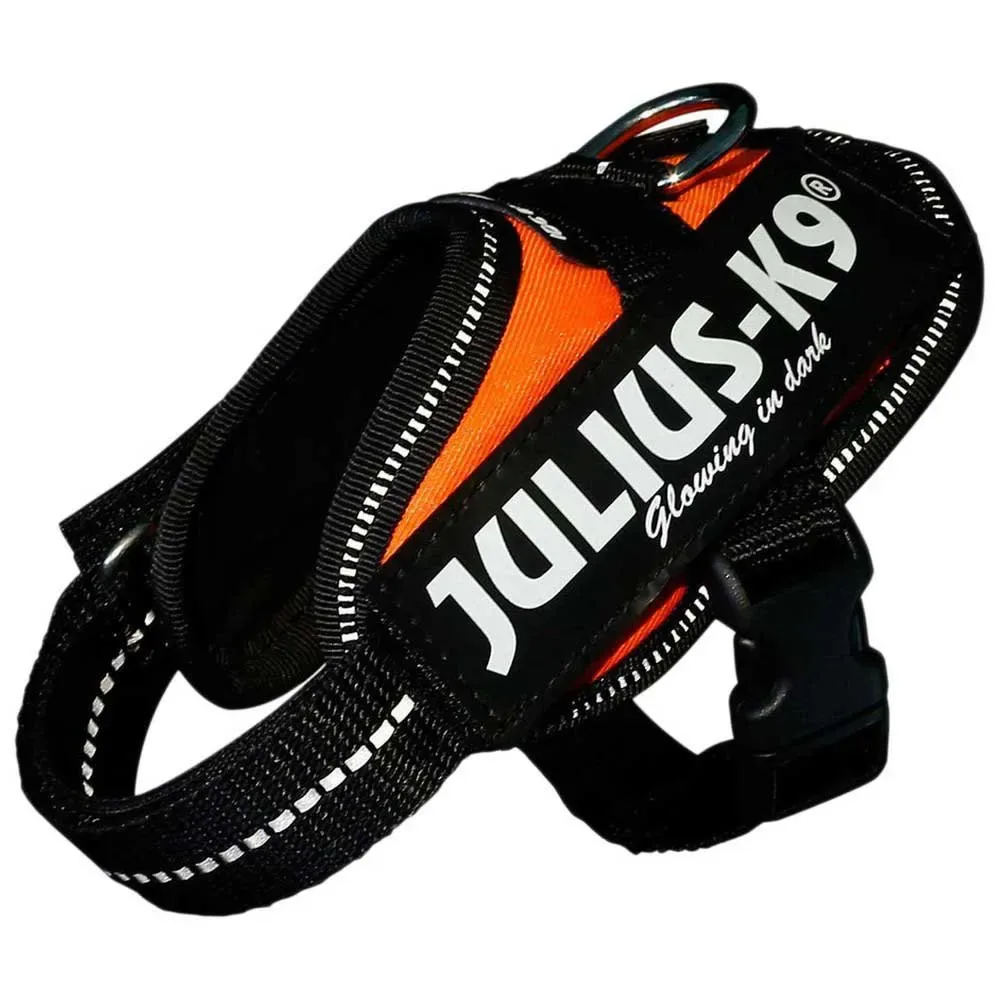 Harnais Pour Chien Idc® Power Baby fra Julius-K9 – produktbillede