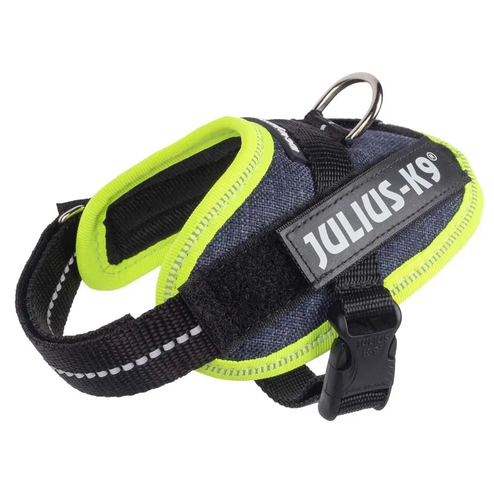 Harnais Pour Chien Idc® Power Baby fra Julius-K9 – produktbillede