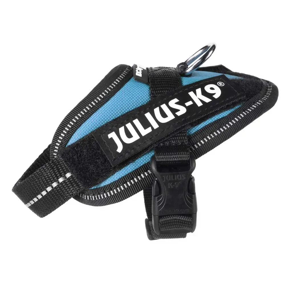 Harnais Pour Chien Idc® Power Baby från Julius-K9 – produktbild