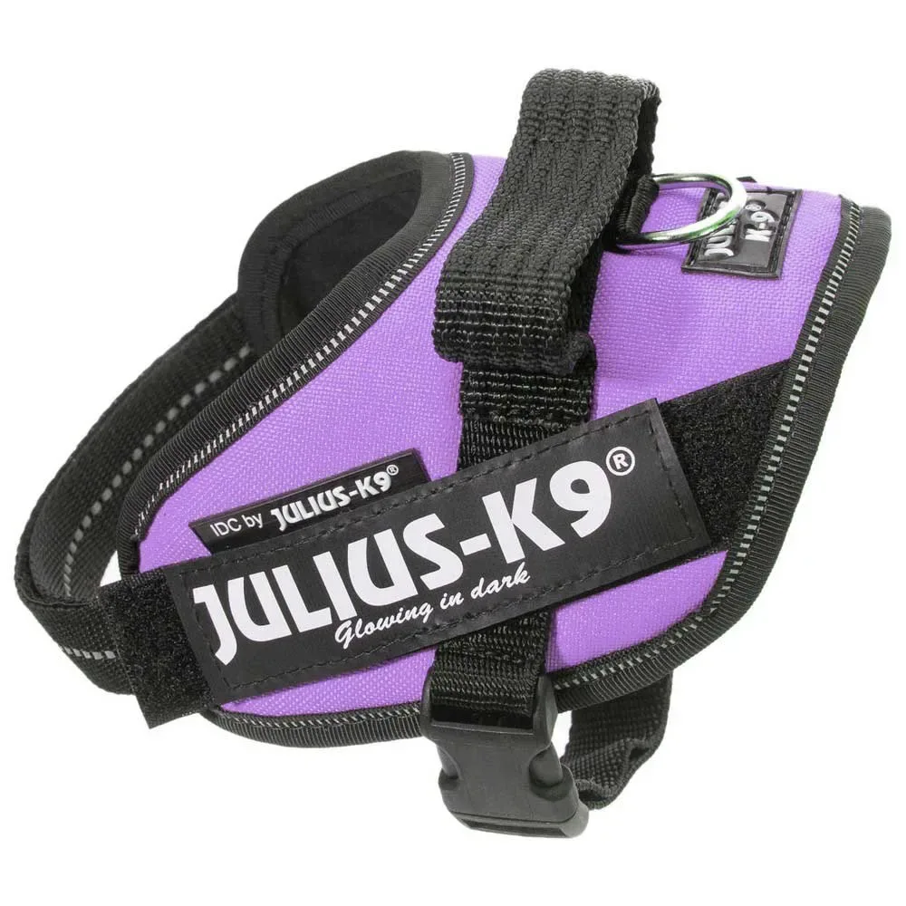 Harnais Pour Chien Idc® Power Baby fra Julius-K9 – produktbillede