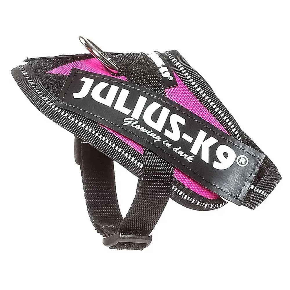 Harnais Pour Chien Idc® Power Baby från Julius-K9 – produktbild