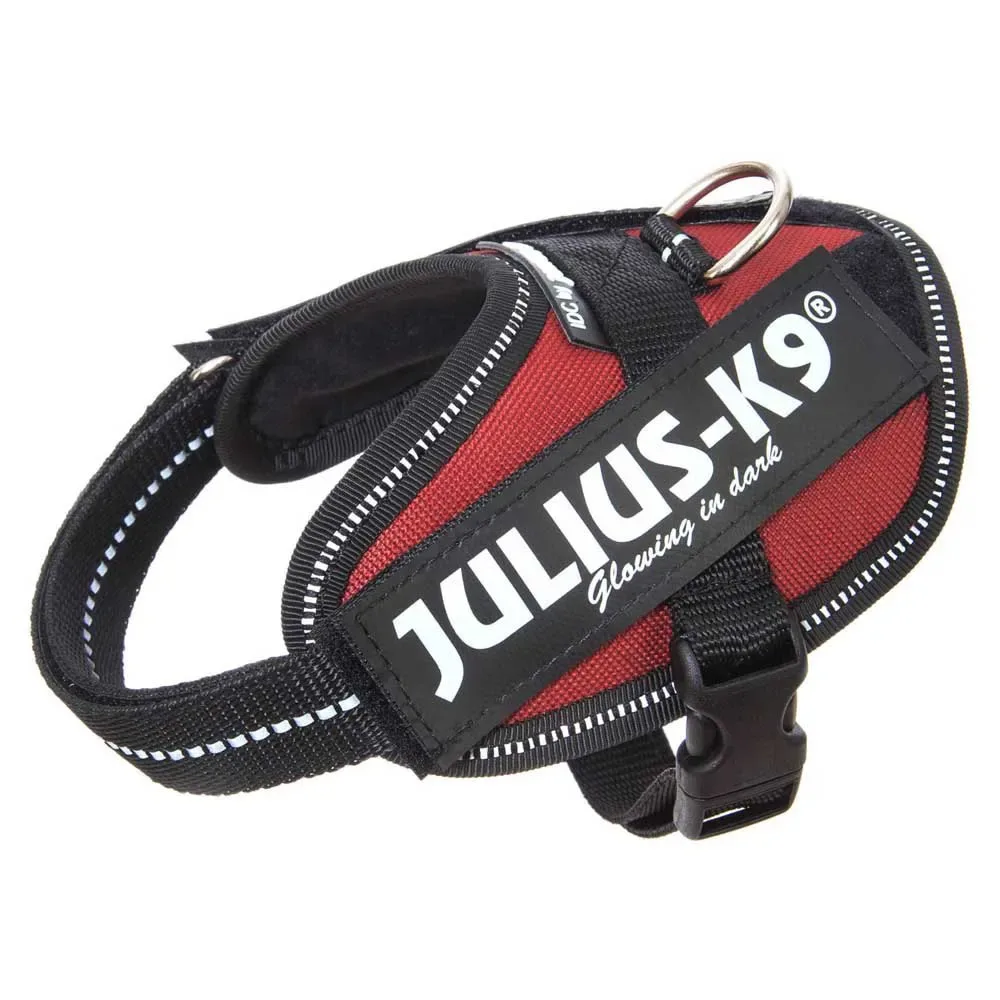 Harnais Pour Chien Idc® Power Baby från Julius-K9 – produktbild