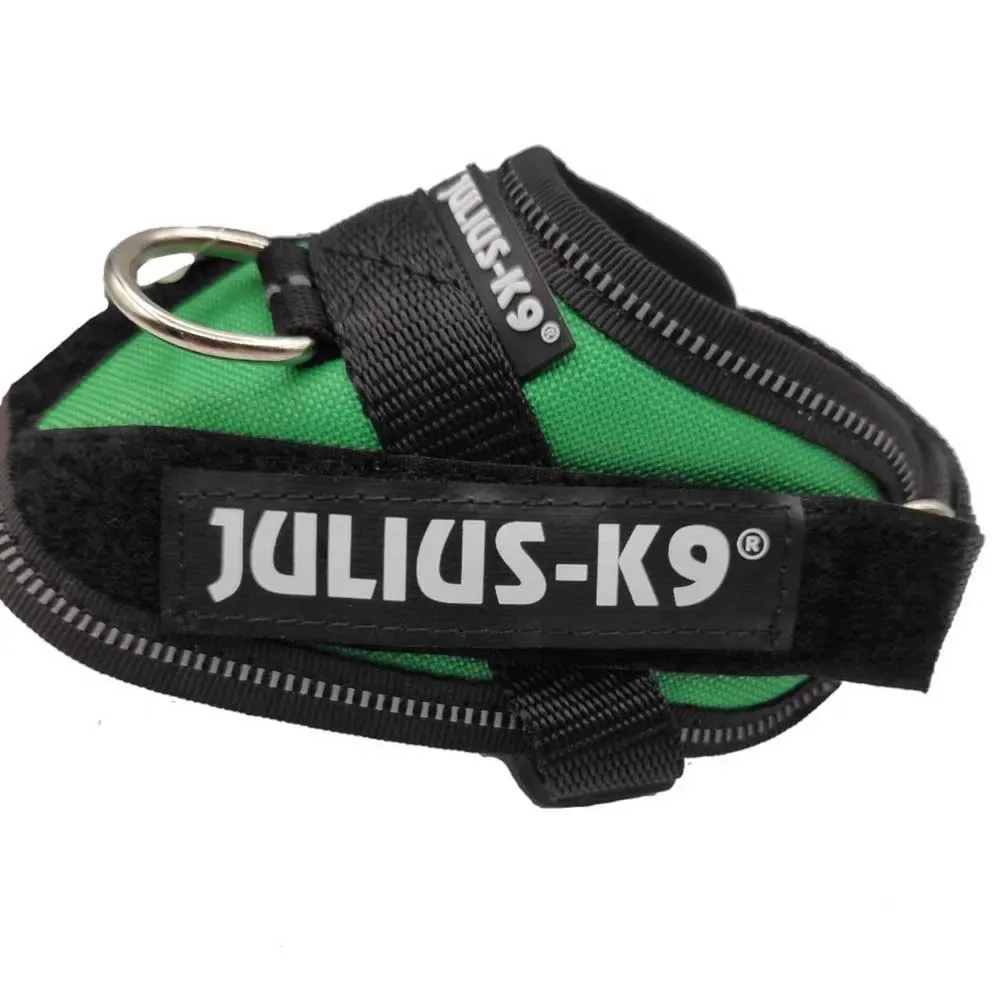 Harnais Pour Chien Idc® Power Baby fra Julius-K9 – produktbillede
