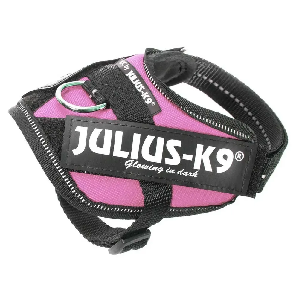 Harnais Pour Chien Idc® Power Baby fra Julius-K9 – produktbillede