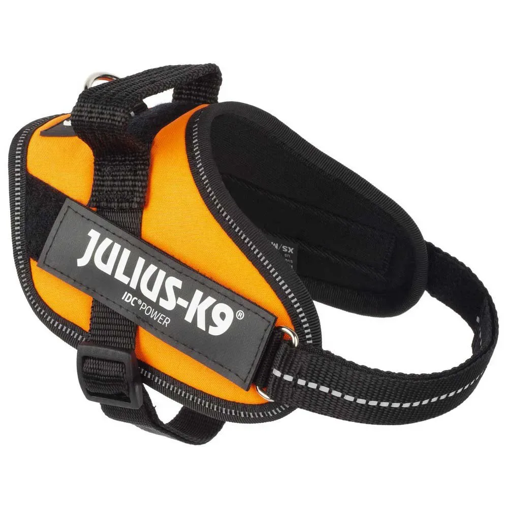 Harnais Pour Chien Idc® Power Mini fra Julius-K9 – produktbillede