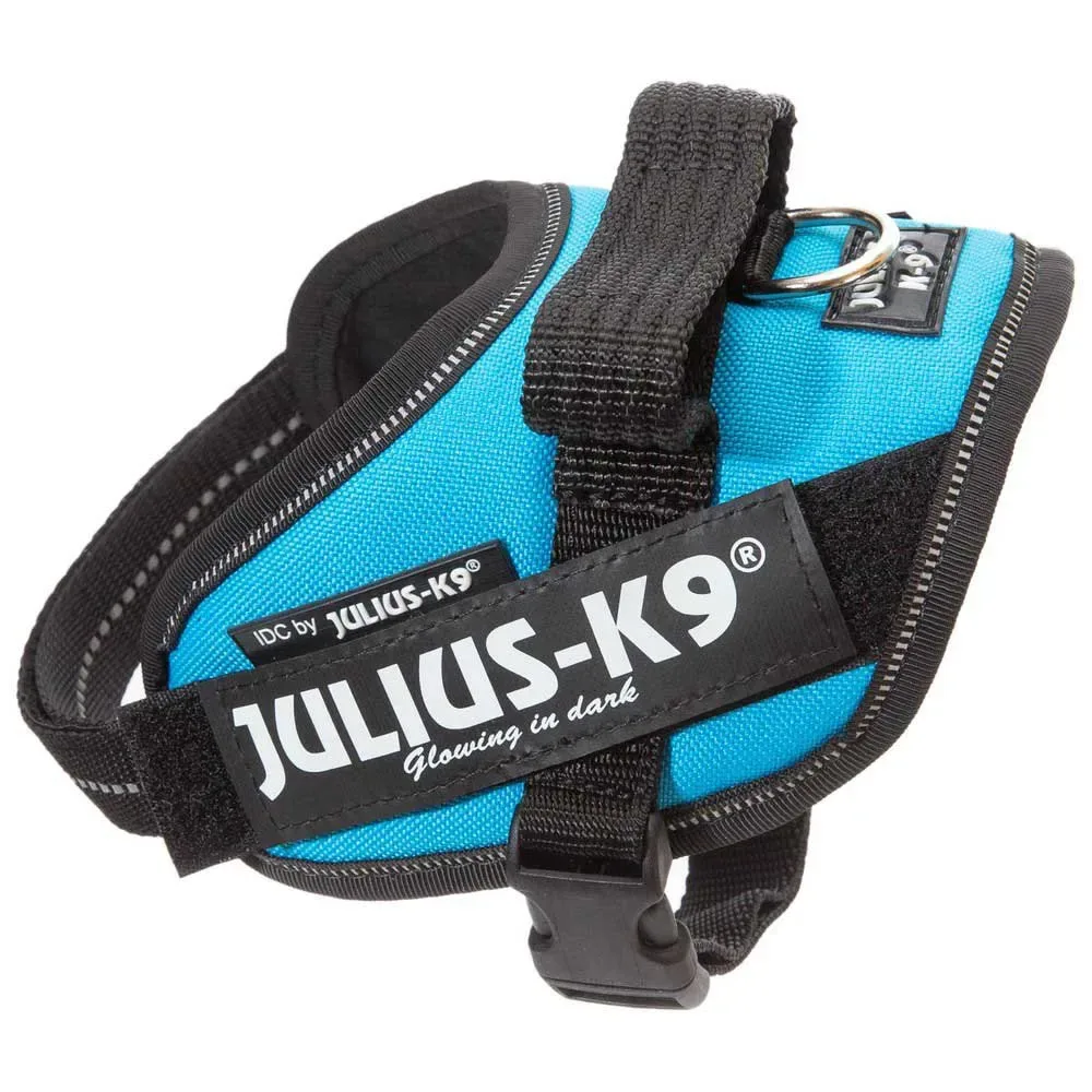Harnais Pour Chien Idc® Power Mini fra Julius-K9 – produktbillede