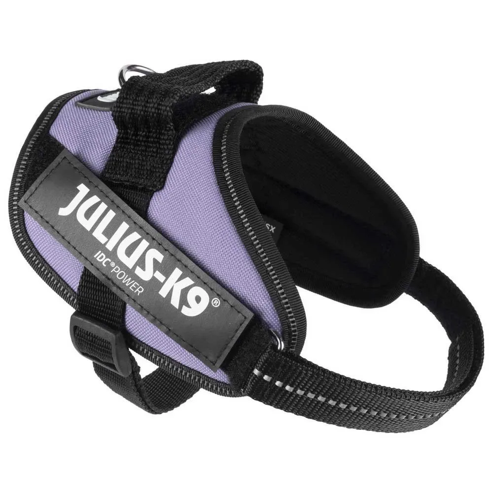 Harnais Pour Chien Idc® Power Mini från Julius-K9 – produktbild
