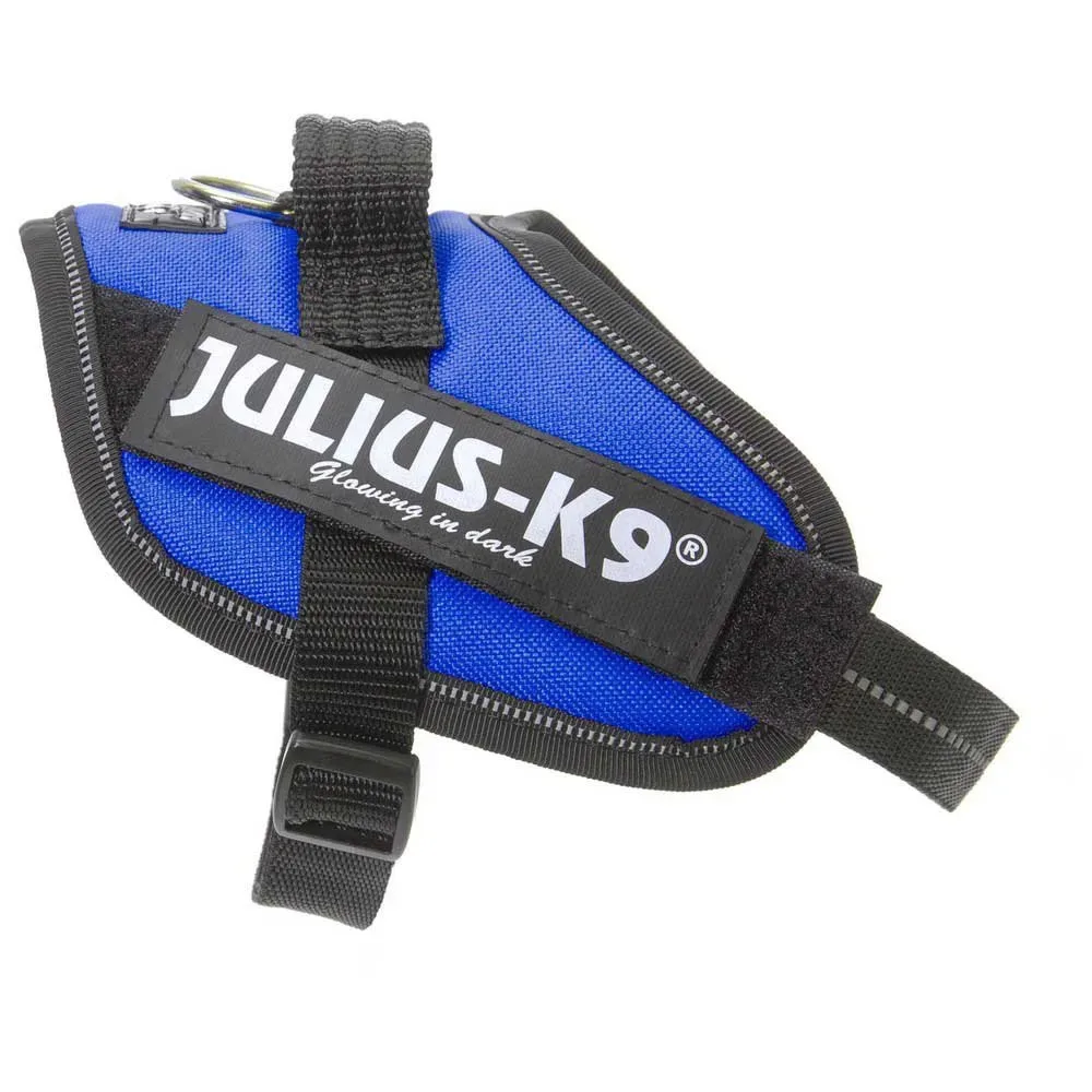 Harnais Pour Chien Idc® Power Mini von Julius-K9 – Produktfoto