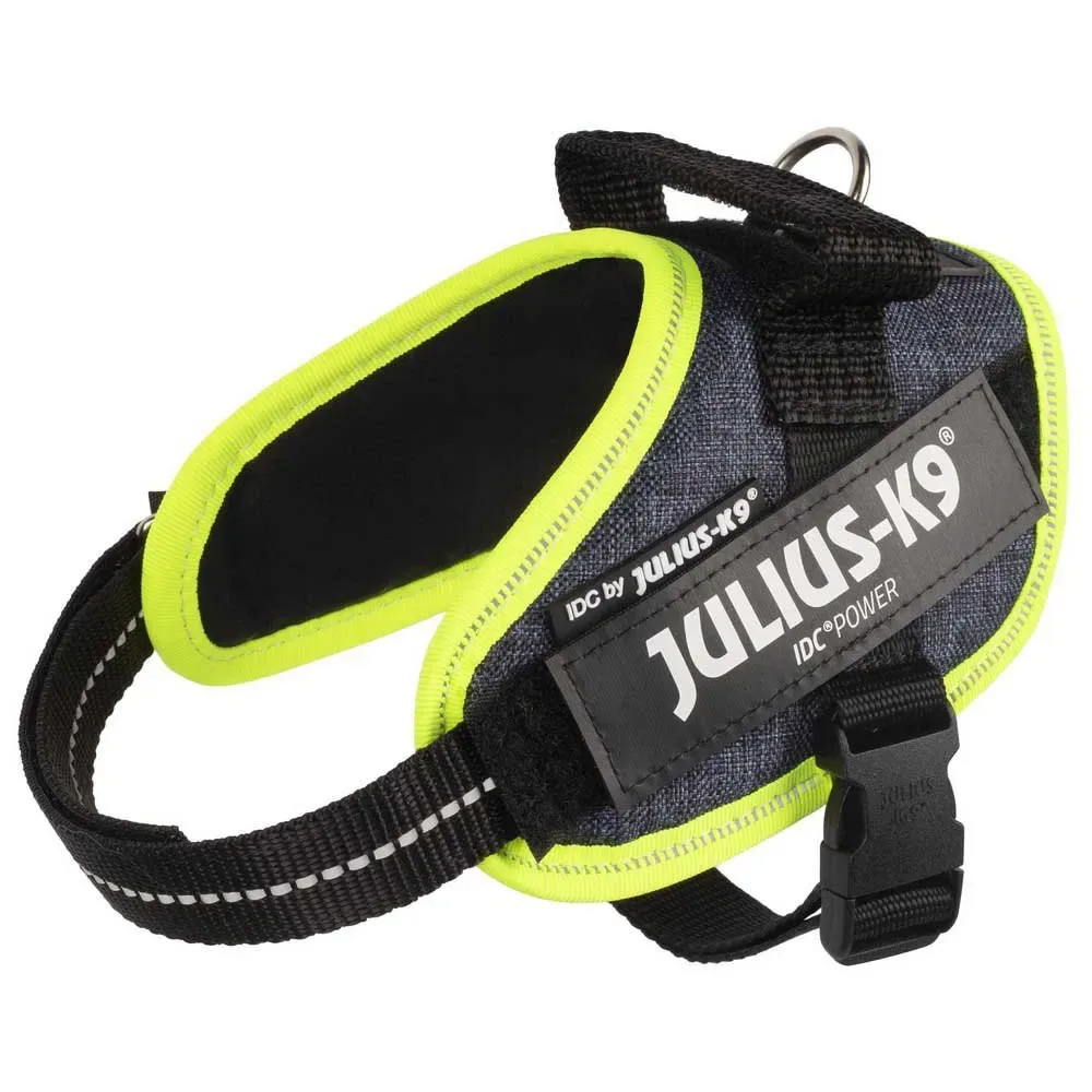 Harnais Pour Chien Idc® Power Mini från Julius-K9 – produktbild