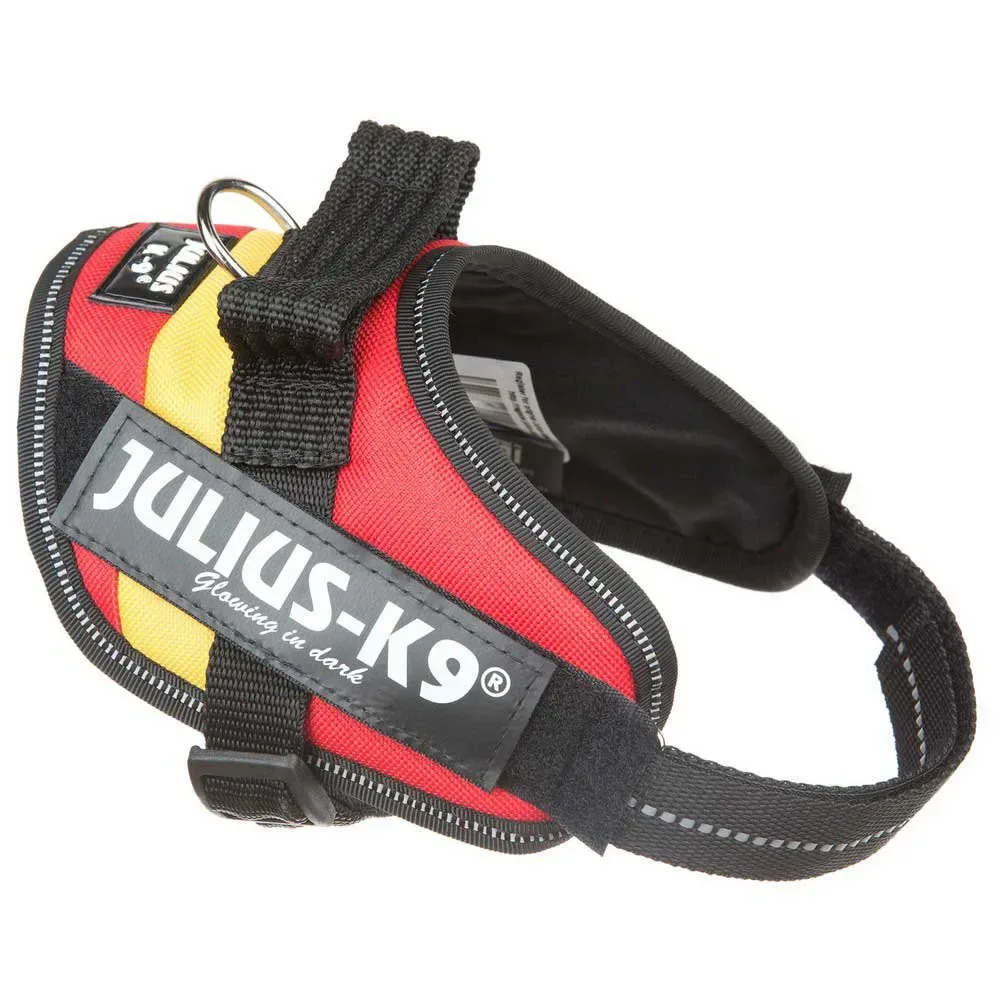 Harnais Pour Chien Idc® Power Mini från Julius-K9 – produktbild