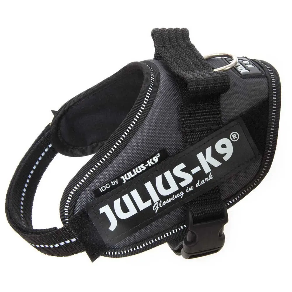 Harnais Pour Chien Idc® Power Mini från Julius-K9 – produktbild