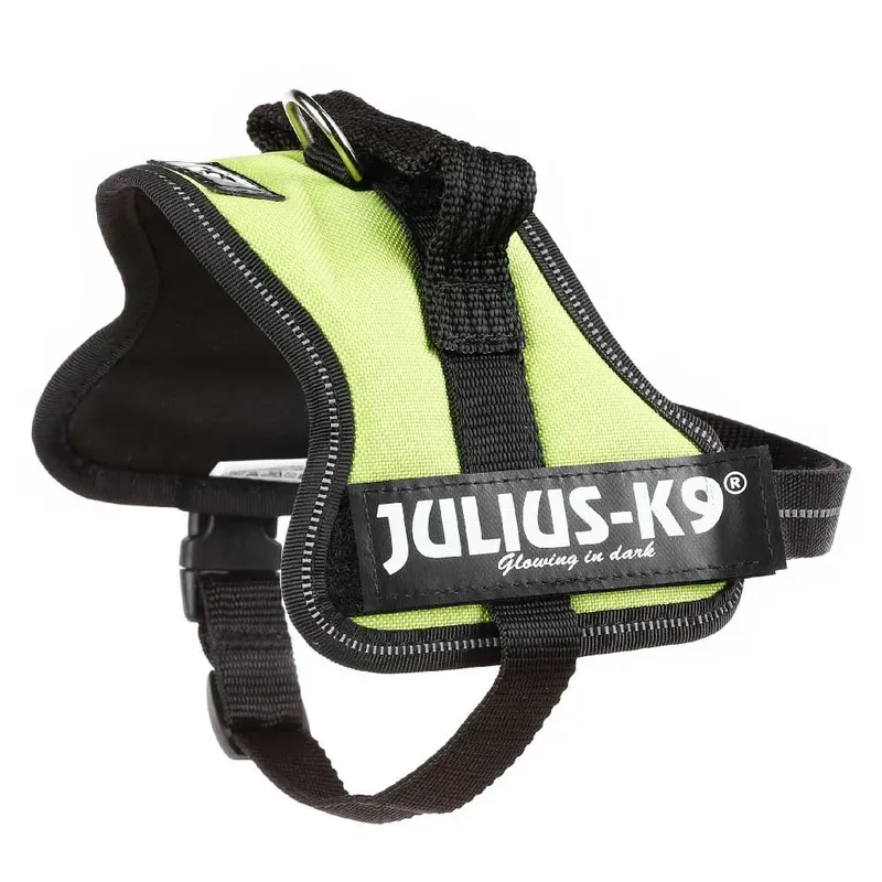 Harnais Pour Chien Power van Julius-K9 – productfoto