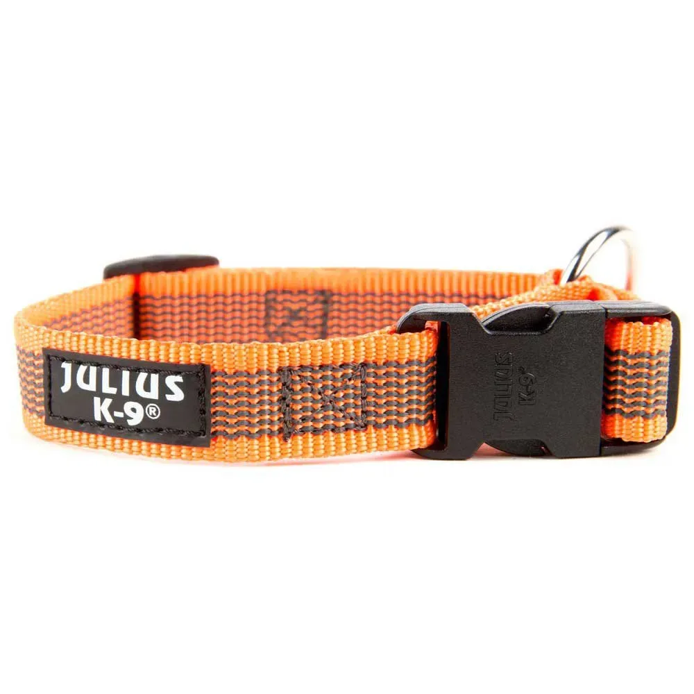 Hondenhalsband fra Julius-K9 – produktbillede