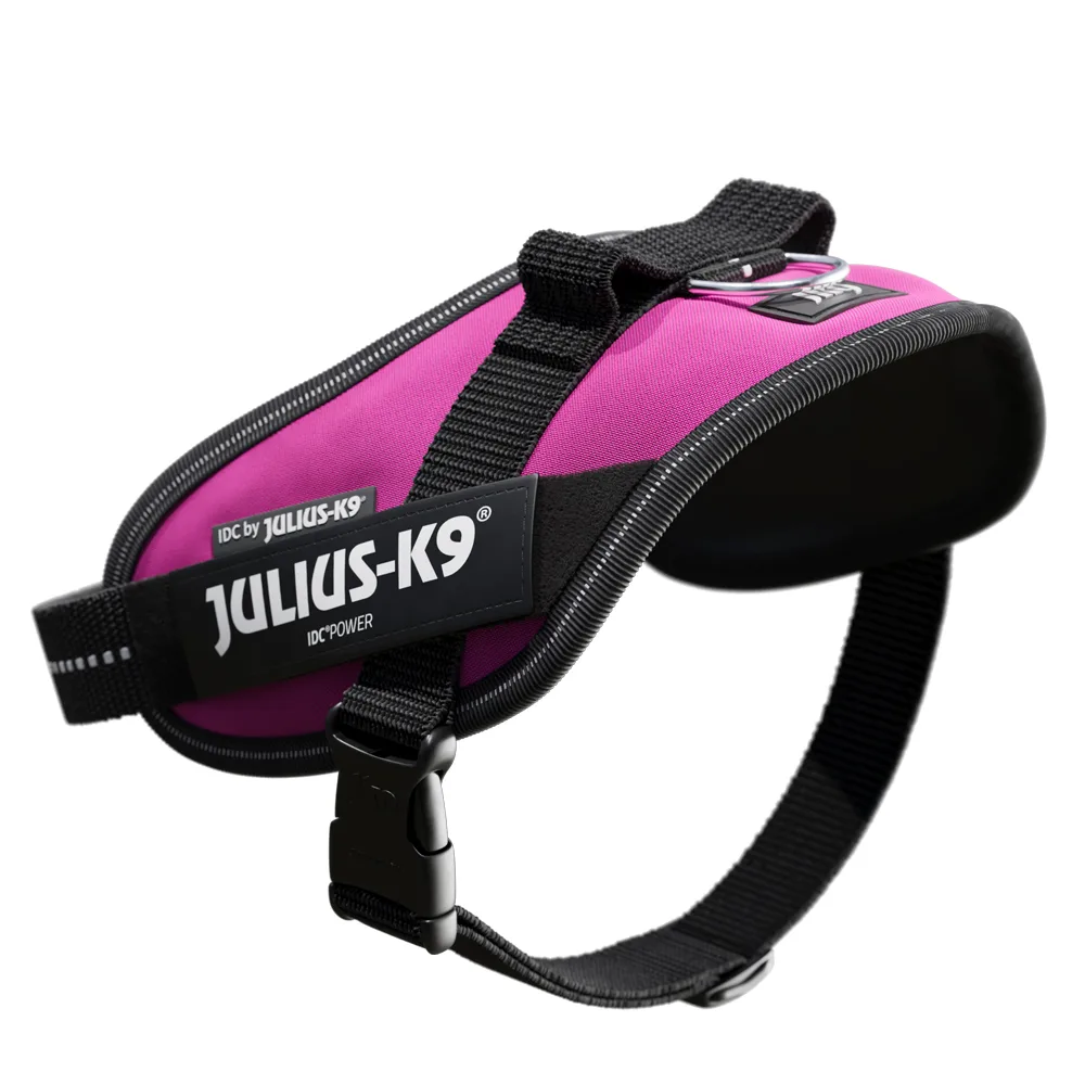 IDC Dark Power Rose Harnais Fuchsia Mini de Julius-K9 – photo produit