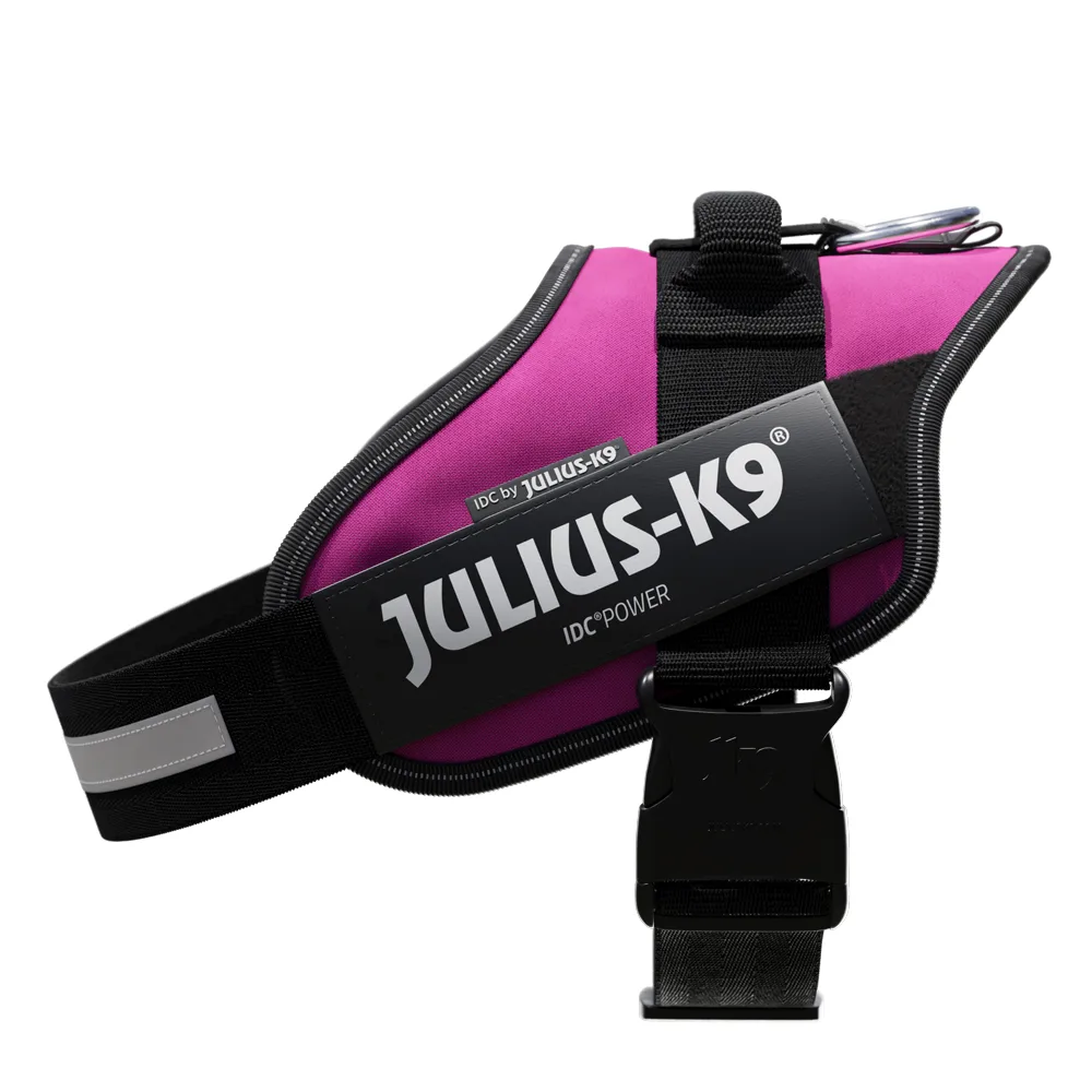 IDC Dark Power Rose Harnais Fuchsia T-0 de Julius-K9 – photo produit