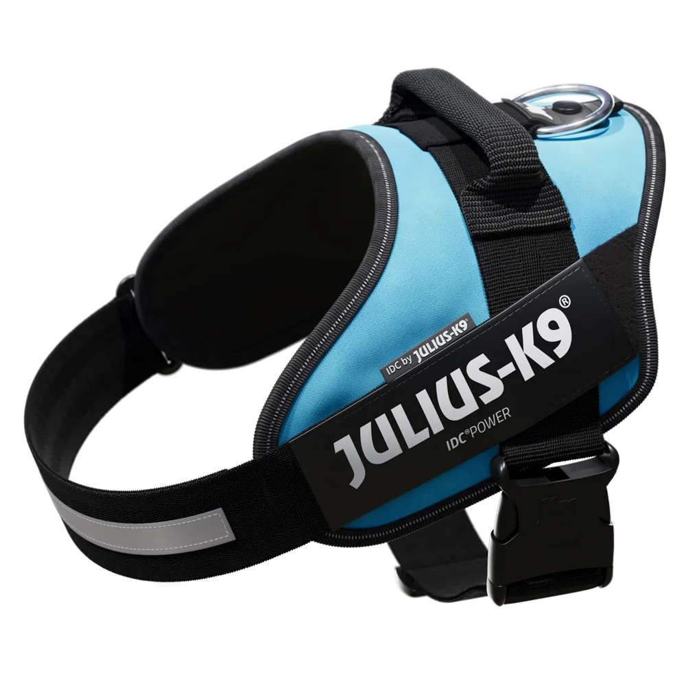 IDC® Power Harness, aquamarine - Grootte: L van Julius-K9 – productfoto