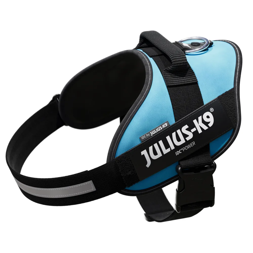 IDC® Power Harness, aquamarine - Grootte: XL van Julius-K9 – productfoto