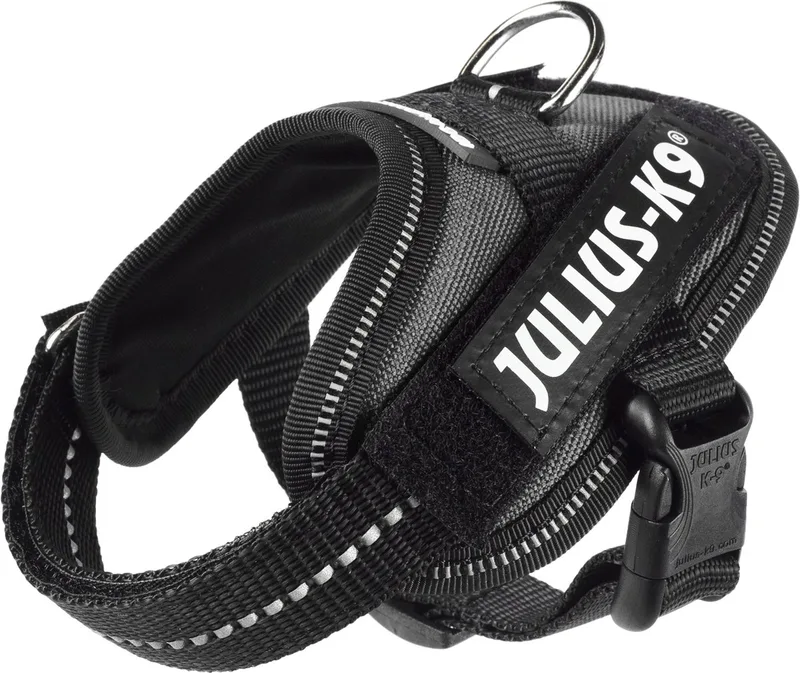 IDC Powertuig/Harnas - Baby 1/30-40 cm - XXXS - Antraciet by Julius-K9 in Black – product photo