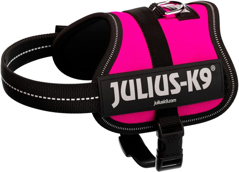 IDC Powertuig/Harnas - Baby 2/33-45cm - XXS - Fuchsia de Julius-K9 en Bleu – photo produit