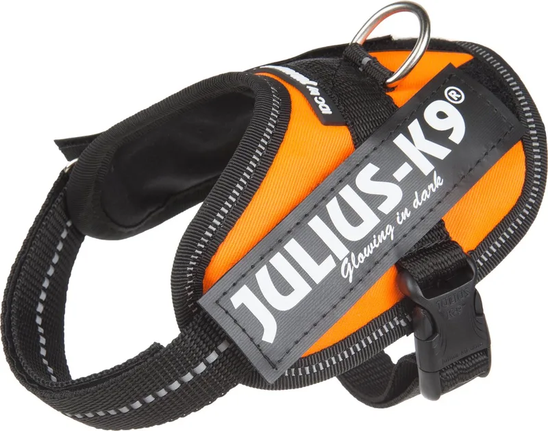 IDC Powertuig/Harnas - Mini/49-67cm - S by Julius-K9 in Orange – product photo