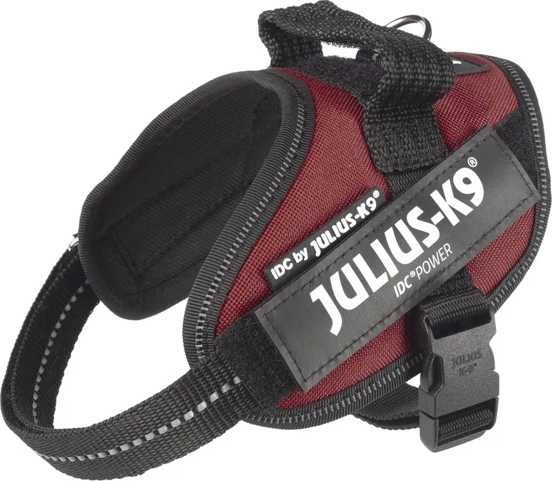 IDC Powertuig/Harnas - Mini-mini/40-53cm - XS- Bordeaux/Rood von Julius-K9 in Rot – Produktfoto