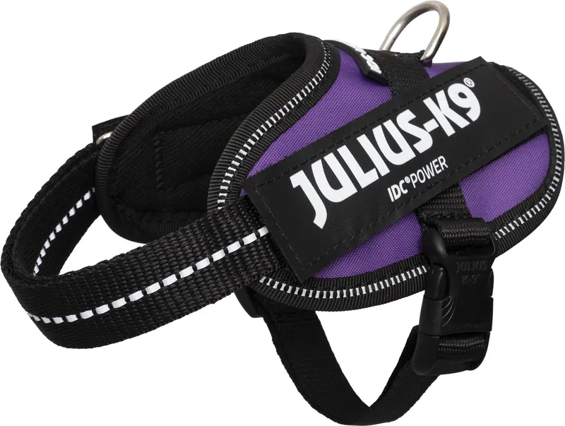 IDC Powertuig - Hondentuig - 2XS - Baby 2 von Julius-K9 in Dark Purple – Produktfoto